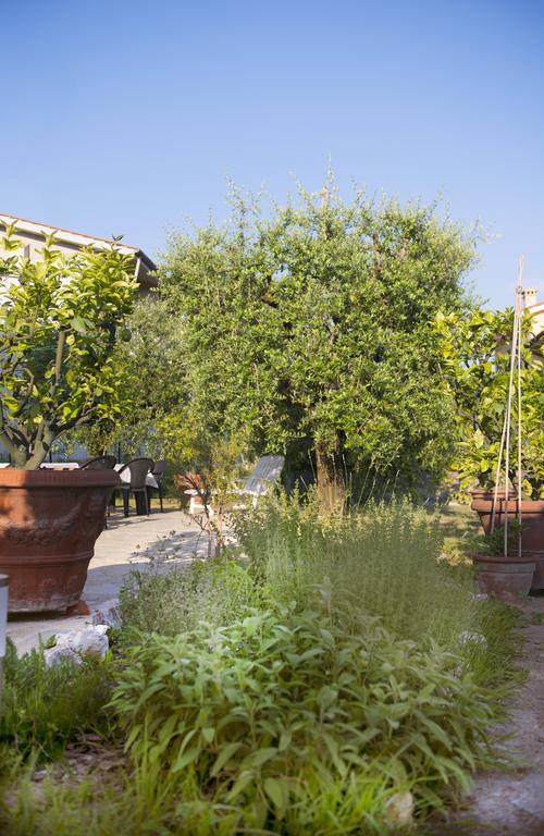 Dolce Sosta Hotel Lucca Ngoại thất bức ảnh